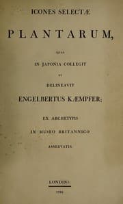 Tapa de Icones selectae plantarum, quas in Japonia collegit et delineavit Engelbertus Kaempfer; ex archetypis in Museo Britannico asservatis