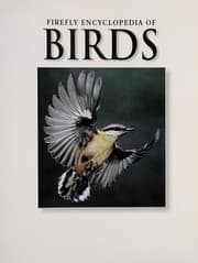 Tapa de Firefly encyclopedia of birds