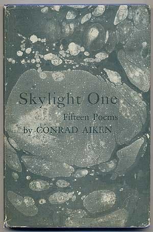 Tapa de Skylight one