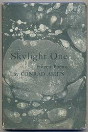 Tapa de Skylight one