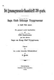 Tapa de Det Arnamagnæanske haandskrift 310 qvarto