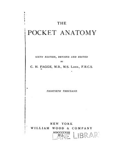 Tapa de The Pocket anatomy