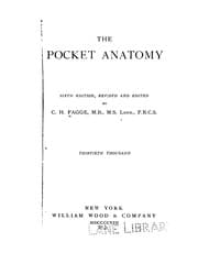 Tapa de The Pocket anatomy