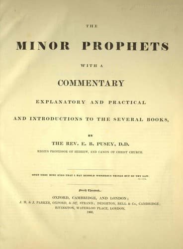 Tapa de The minor prophets