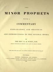 Tapa de The minor prophets