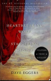 Tapa de A heartbreaking work of staggering genius