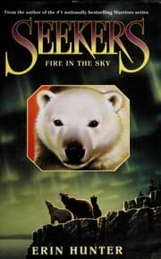Tapa de Fire in the Sky