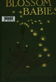 Tapa de Blossom Babies: How to Tell the Life Story to Little Children