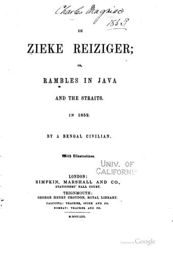 Tapa de De Zieke Reiziger