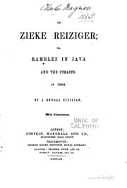 Tapa de De Zieke Reiziger