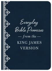 Tapa de EVERYDAY BIBLE PROMISES FROM THE KING JAMES VERSION