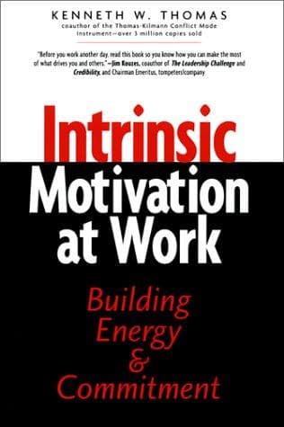 Tapa de Intrinsic Motivation at Work