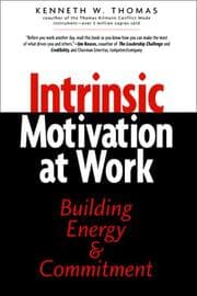 Tapa de Intrinsic Motivation at Work
