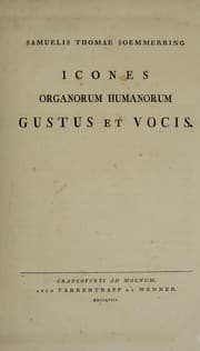 Tapa de Icones organorum humanorum gustus et vocis