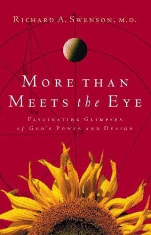 Tapa de More Than Meets The Eye