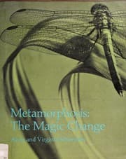 Tapa de Metamorphosis: the magic change