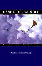 Tapa de Dangerous Wonder