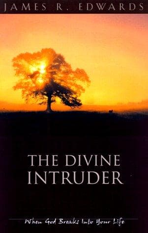 Tapa de The Divine Intruder