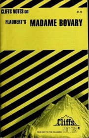 Tapa de Madame Bovary