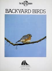 Tapa de Backyard birds