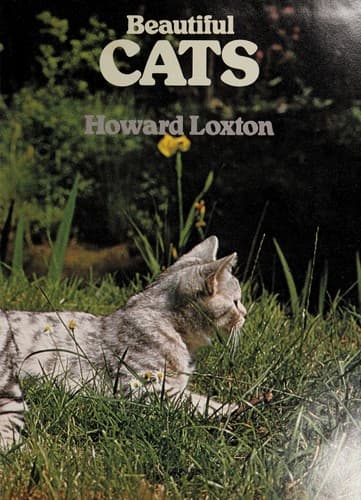 Tapa de Beautiful cats