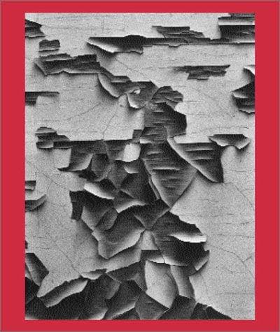 Tapa de Aaron Siskind 100