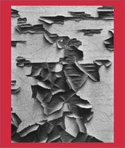 Tapa de Aaron Siskind 100