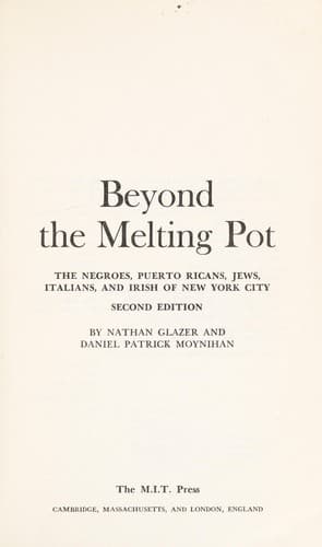 Tapa de Beyond the melting pot