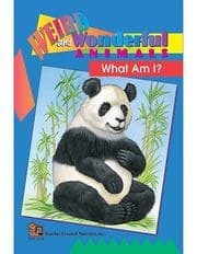 Tapa de What am I?