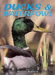 Tapa de Ducks and Waterfowl (Portrait of the Animal World)