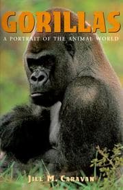 Tapa de Gorillas (A Portrait of the Animal World)