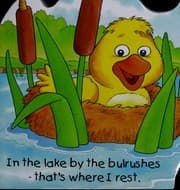 Tapa de Danny the duck