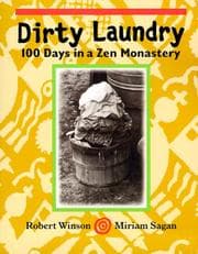 Tapa de Dirty laundry