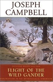 Tapa de The flight of the wild gander