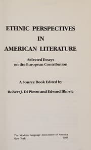 Tapa de Ethnic perspectives in American literature