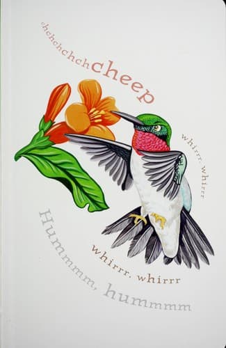 Tapa de Feathers