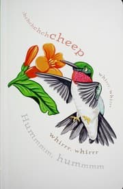 Tapa de Feathers
