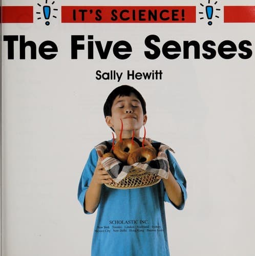 Tapa de The five senses