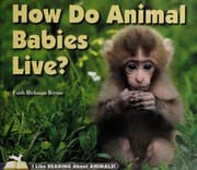 Tapa de How do animal babies live?