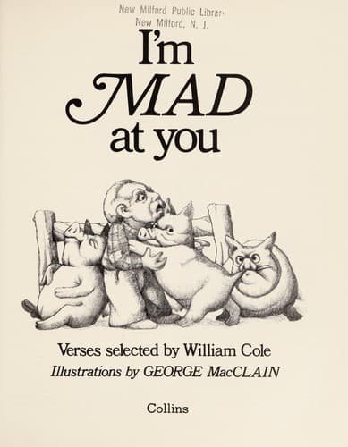 Tapa de I'm mad at you