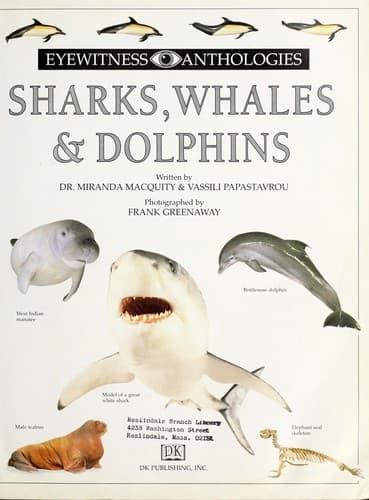 Tapa de Whales and dolphins