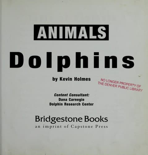Tapa de Dolphins