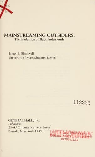 Tapa de Mainstreaming outsiders