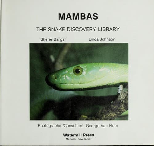 Tapa de Mambas