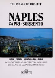 Tapa de Golden Book on Naples (Bonechi Golden Book Collection)