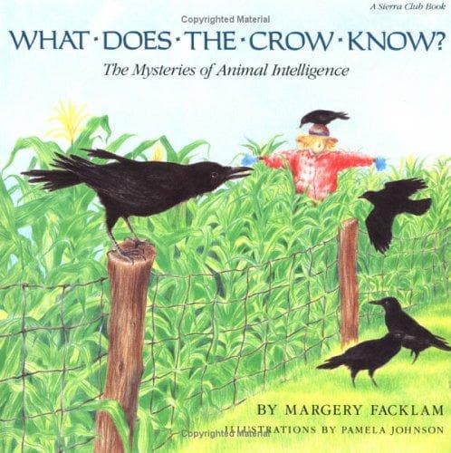 Tapa de What does the crow know?