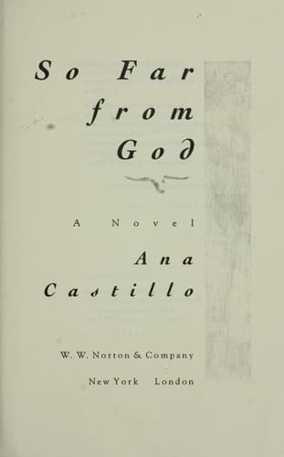 Tapa de So far from God : a novel