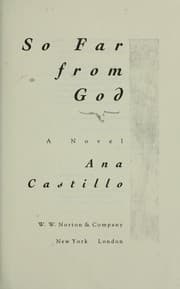 Tapa de So far from God : a novel