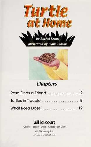Tapa de Turtle at home