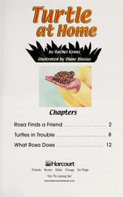 Tapa de Turtle at home